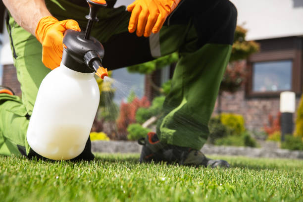 Best Pest Prevention Services  in Hideaway, TX
