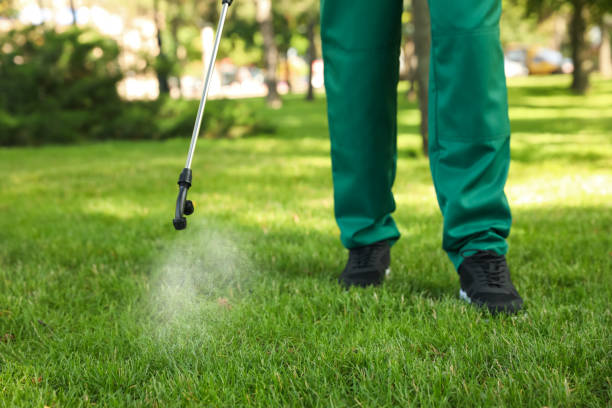 Trusted Hideaway, TX Pest Control Experts