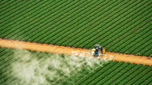 Pest Control Cost in Hideaway, TX