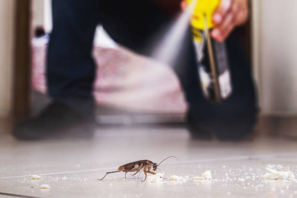 Wildlife Control Services in Hideaway, TX