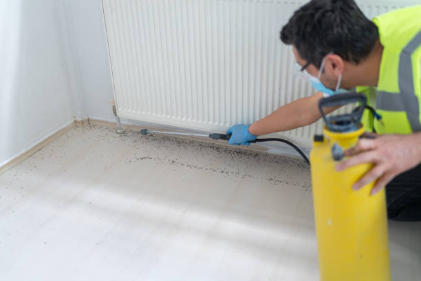 Best Mosquito Control Services  in Hideaway, TX