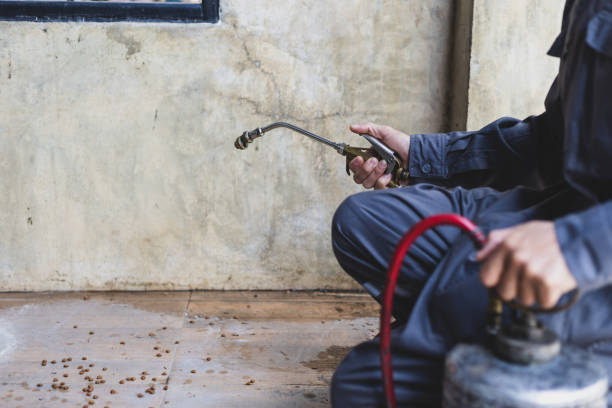 Best Wasp Removal Services  in Hideaway, TX